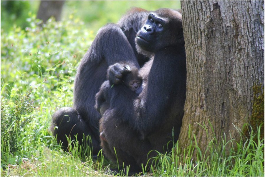 Moseka et son bébé.