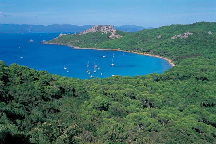 Crique sur l'île de Porquerolles - © HUGO CANABI - ICONOTEC