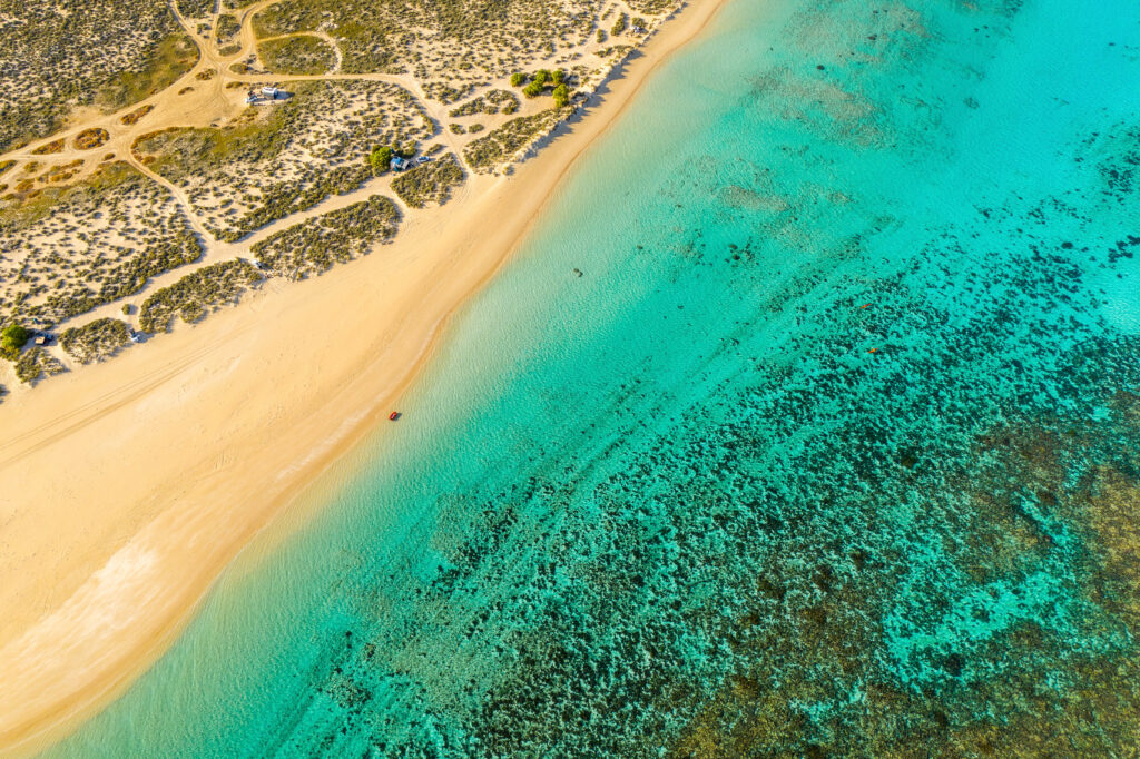 Le récif de Ningaloo