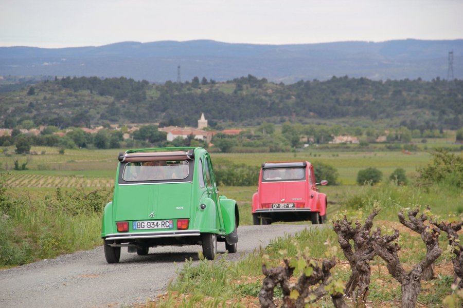 A la découverte des vignobles en 2CV.