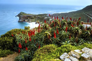 Les incontournables du Cap