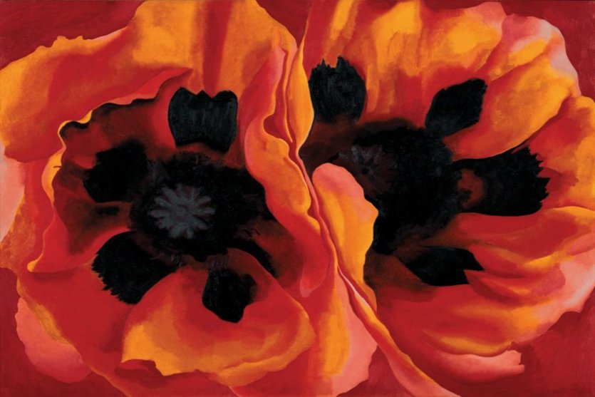 RÃ©sultat de recherche d'images pour "georgia o'keeffe fleur"