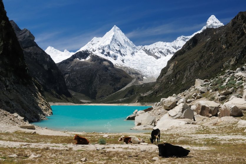 Le lac Parón, lac glacier le plus vaste de la Cordillère Blanche 