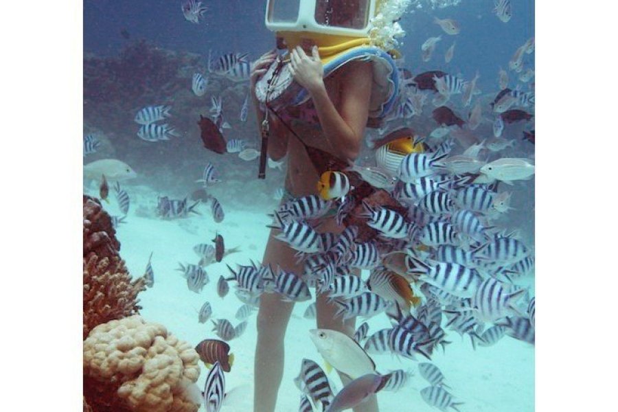 Marcher sous l'eau la tête au sec avec AQUA SAFARI !