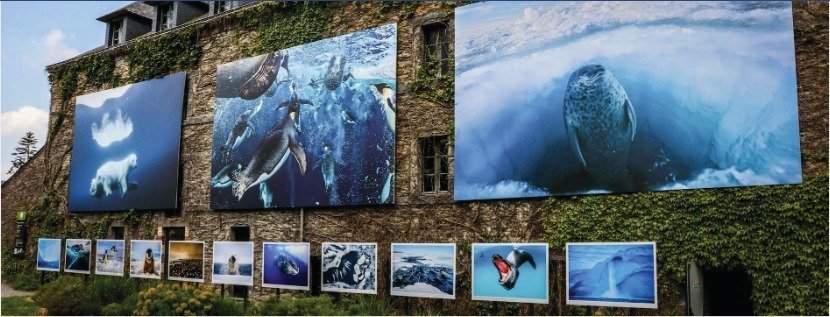 - © festival photo La Gacilly DR