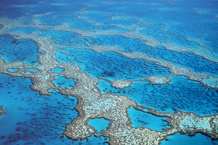 La grande barrière de corail en Australie. - © John Carnemolia istockphotos