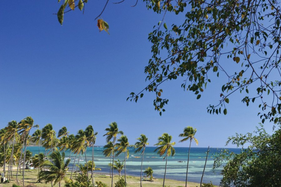 Nouveau en Martinique : Le Village de la Pointe au Vauclin