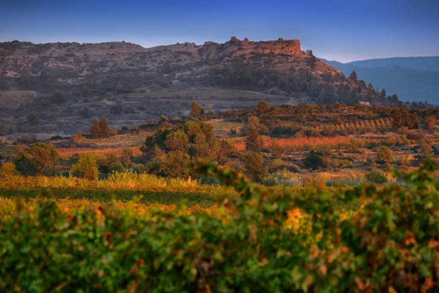 Un automne en Corbières Minervois