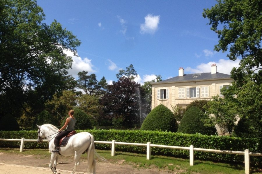 Spectacle équestre et visite du Haras de la Vendée