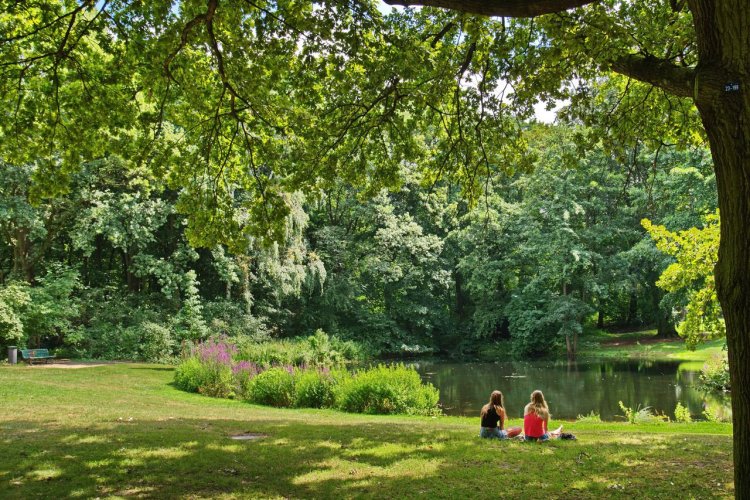 Tiergarten - © Svetlana Turchenick - shutterstock.com