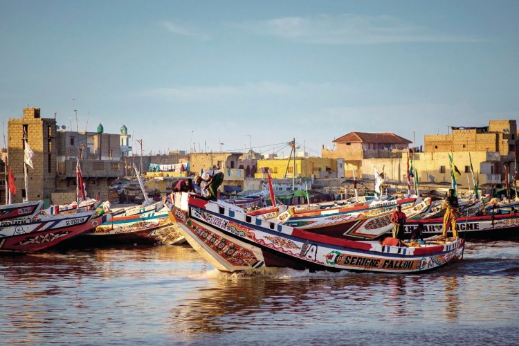 - © Vladimir Zhoga - Shutterstock.com