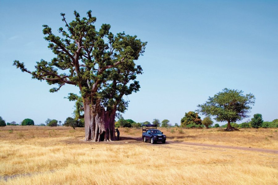 Sénégal, le paradis africain