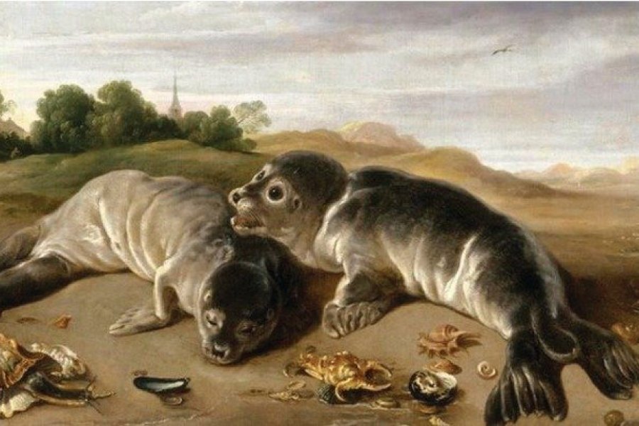 Le Musée de Flandres plonge dans l'odyssée des animaux