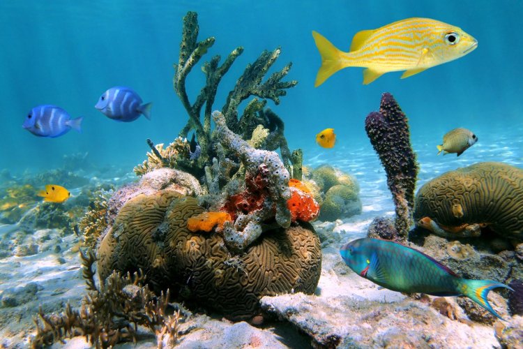 - © Fotolia