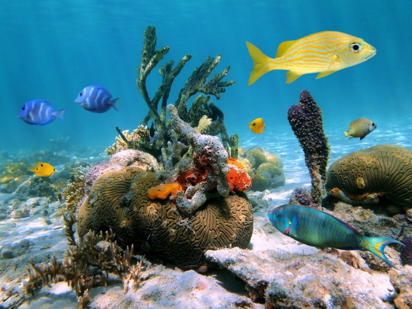 - © Fotolia