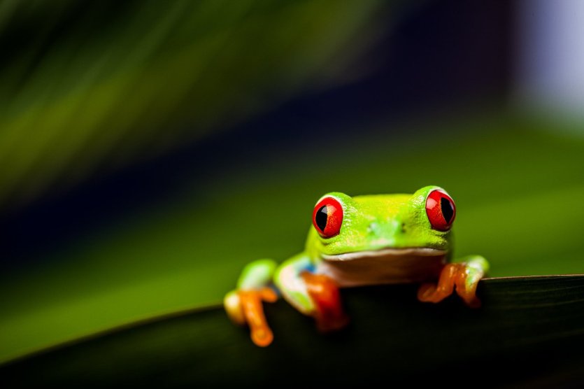 - © Fotolia_Oleksiewicz