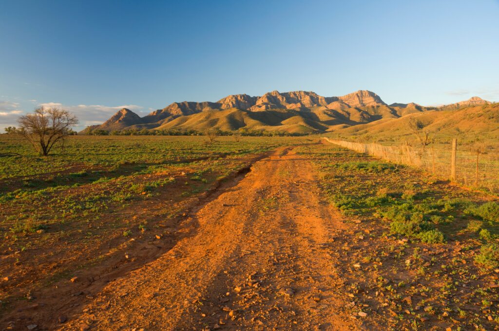 Que voir Sud de l'Australie ? Flinders Ranges