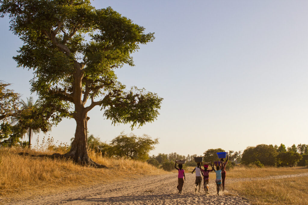 Enfants de retour au village, Sénégal