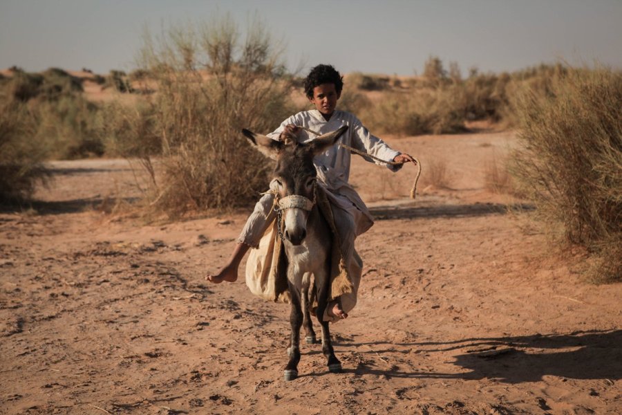 Theeb, l'enfant du désert