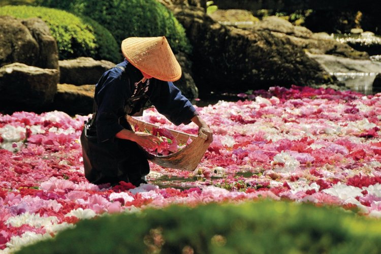 - © OFFICE DE TOURISME DE SHIMANE