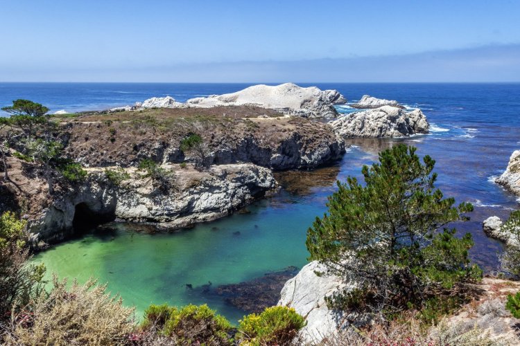 Point Lobo State Reserve - © Randy Andy - Shutterstock.com