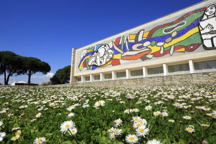 Musée Léger à Biot - © CRT Côte d'Azur - Camille MOIRENC