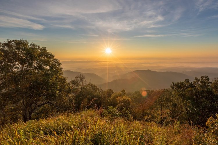 Le parc national Doi Khun Tan - © Ekkapol Yamkayai - shutterstock.com