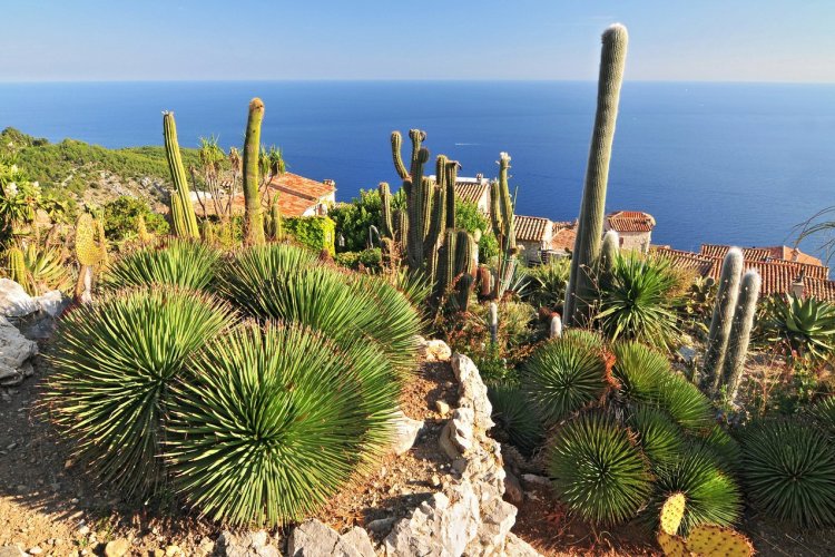 Les jardins d'Eze - © Cezary Wojtkowski - stock.adobe.com