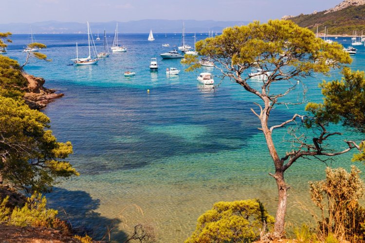 L'île de Porquerolles - © Telly - adobe.stock.com