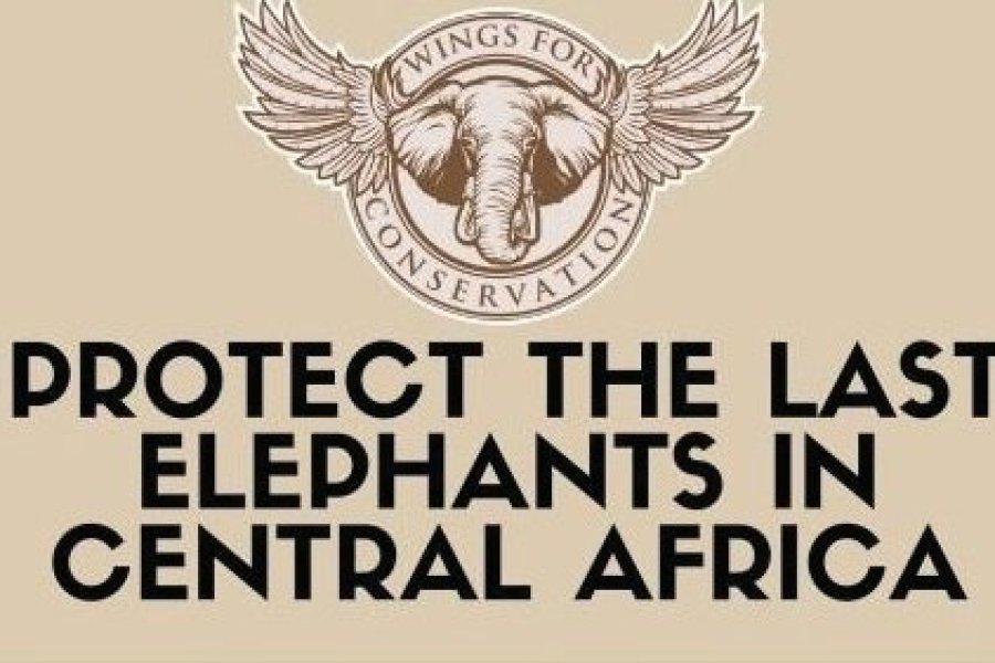 Donnez des ailes aux éléphants avec Wings for conservation
