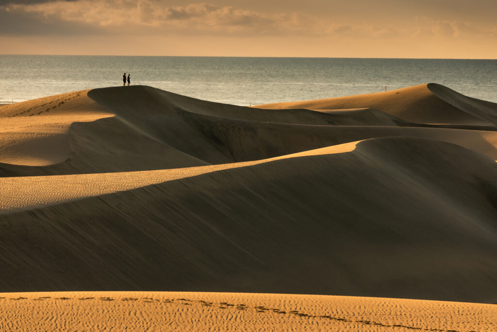 Que faire aux Canaries ? Les dunes de Maspalomas à Gran Canaria