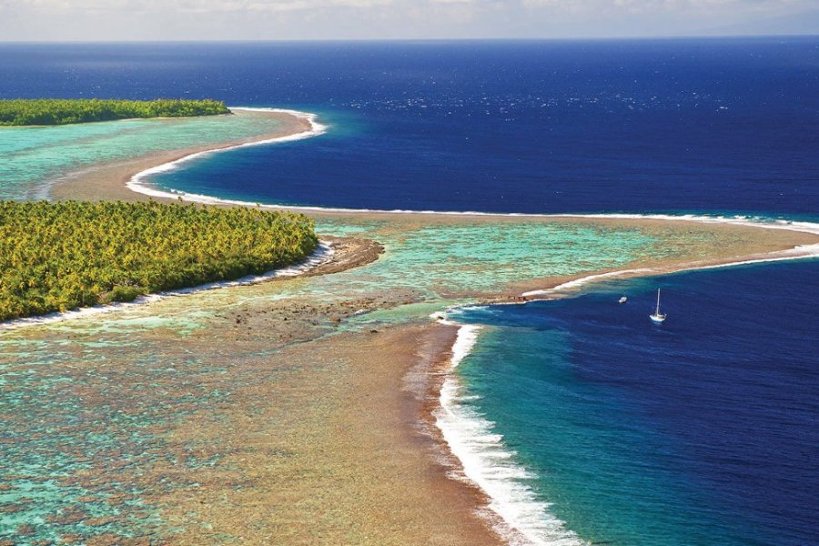 Tetiaroa, une île qui ne cesse de nous surprendre !