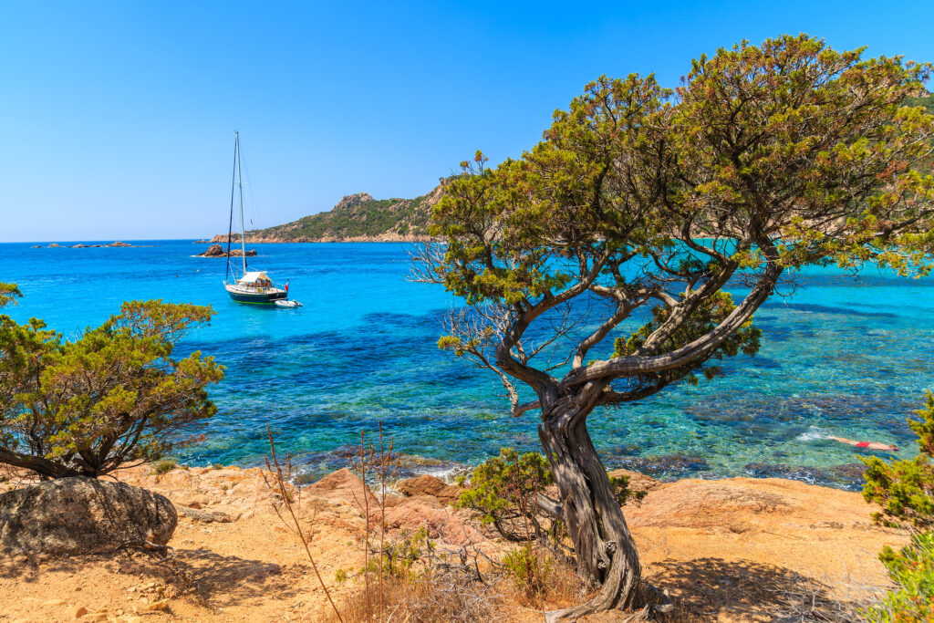 Plage de Roccapina en Corse