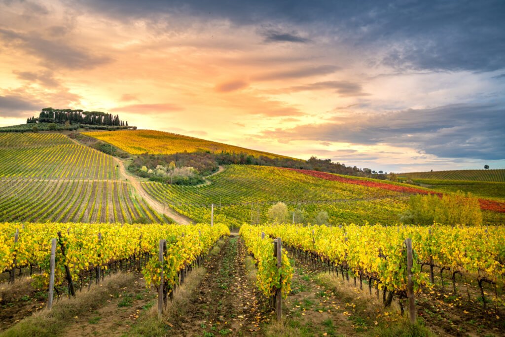 Région du Chianti