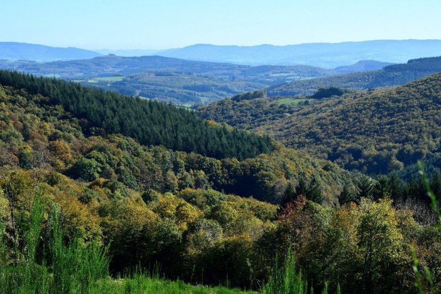 8 bonnes raisons de visiter la Nièvre