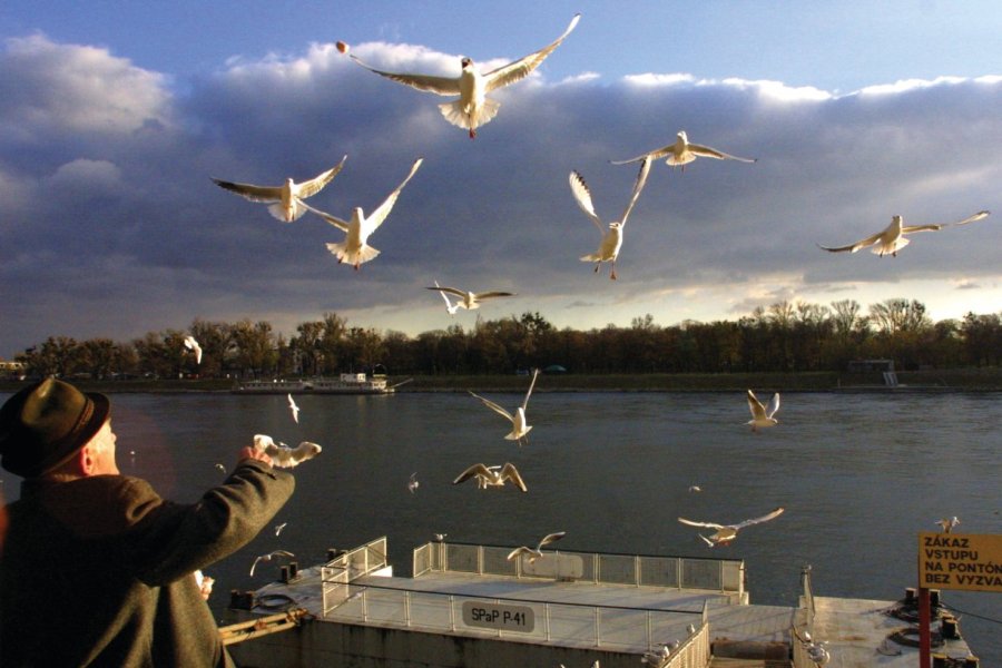 Le Danube, une croisière enchanteresse