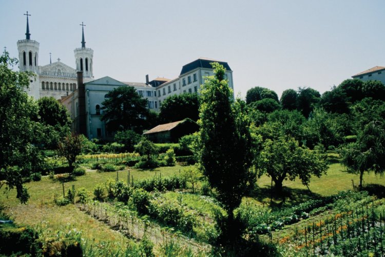 La basilique de Fourvière - © VINCENT FORMICA