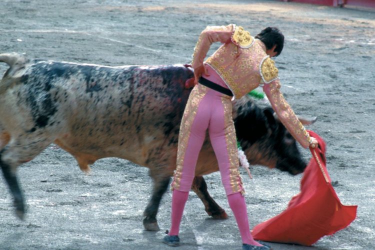 Corrida dans les arènes de Nîmes - © HERVÉ DE MESTIER - ICONOTEC