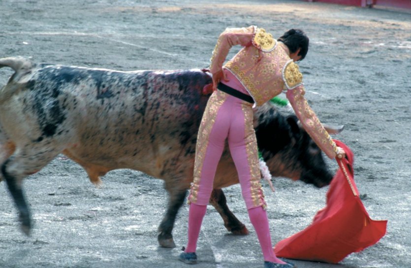 Corrida dans les arènes de Nîmes - © HERVÉ DE MESTIER - ICONOTEC