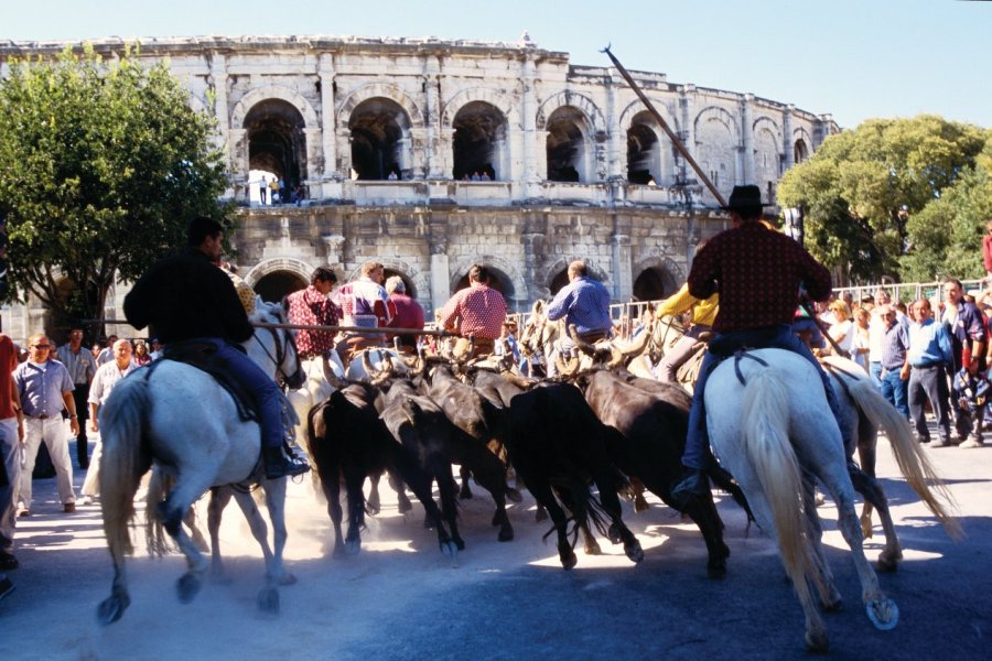 Nîmes, à l'heure de sa feria de Pentecôte