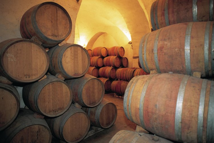 Cuvage de Chianti. - © Hugo Canabi - Iconotec