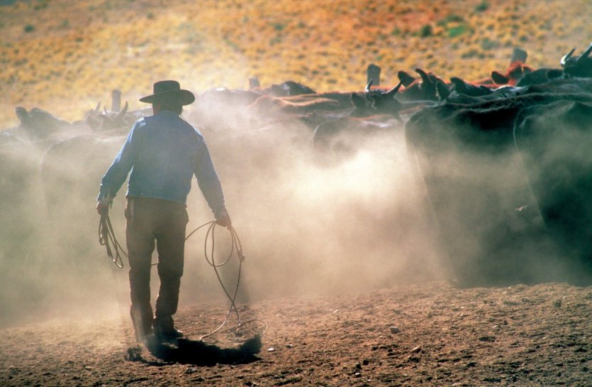 Gaucho. - © H.Fougère - Iconotec