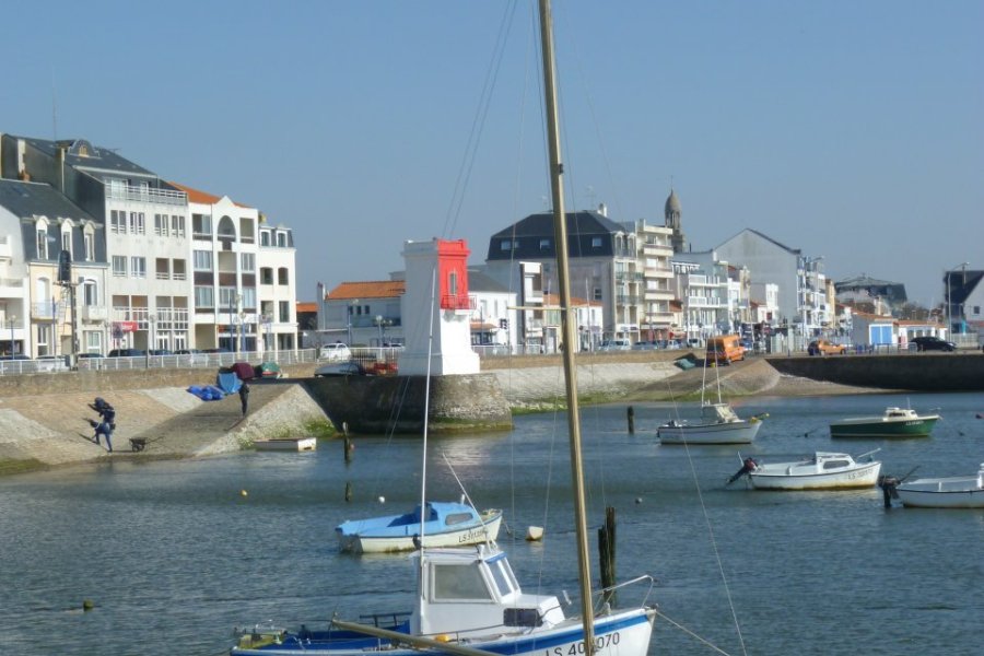 Le Pays de Saint-Gilles-Croix-de-Vie primé au Web Program Festival de la Rochelle