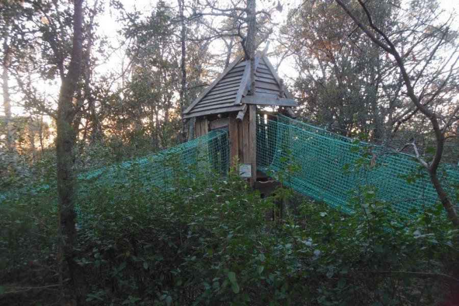 Cabane pour enfant du parcours du 