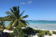 Peut être une prochaine victoire pour l'hôtel The Brando