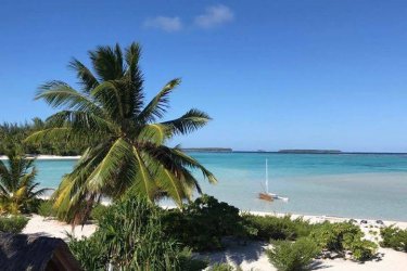 Peut être une prochaine victoire pour l'hôtel The Brando