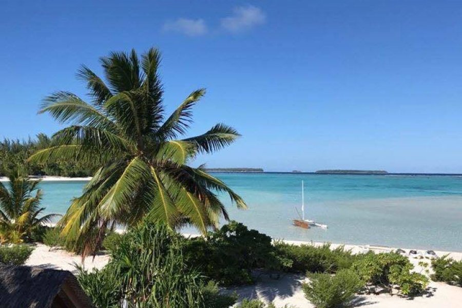 Peut être une prochaine victoire pour l'hôtel The Brando 