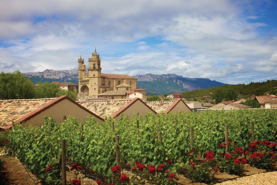 La Rioja, terre viticole bénie
