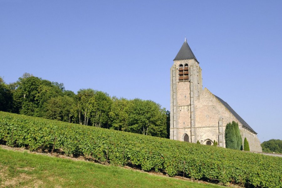 La Marne, entre nature, bulles et culture