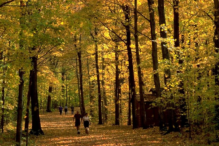 Arboretum Morgan, Montréal. - © Arboretum Morgan